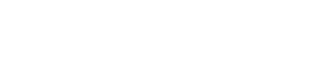 Une maison de ville ensoleillée de 3 étages, de 1600 pieds, impeccablement meublée avec 2 chambres à coucher recevant plein de soleil. La cuisine de marque de gastronomie entièrement équipée avec des comptoirs en granit, machine à expresso, des appareils en acier inoxydable et des ustensiles de gastronomie. HDTV, stéréo sur mesure intégrée partout, cheminée à bois, air climatisé, Internet sans fil. Il y a des planchers chauffés en céramique partout, une buanderie, une terrasse privée sur toit et meublée avec barbecue à gaz, bar et vue de 360°. Stationnement privé. 
Situé au coeur du Plateau Mont-Royal entre St Laurent & St Denis. Le quartier de Montréal le plus branché. Tout près des boutiques les plus branchées de Montréal, des cafés, des restaurants, des épiciers, des galeries, du théâtre, des musées, de la vie nocturne, des parcs, du centre ville...